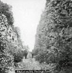 "Cut on Old Portage Road," c. 1890